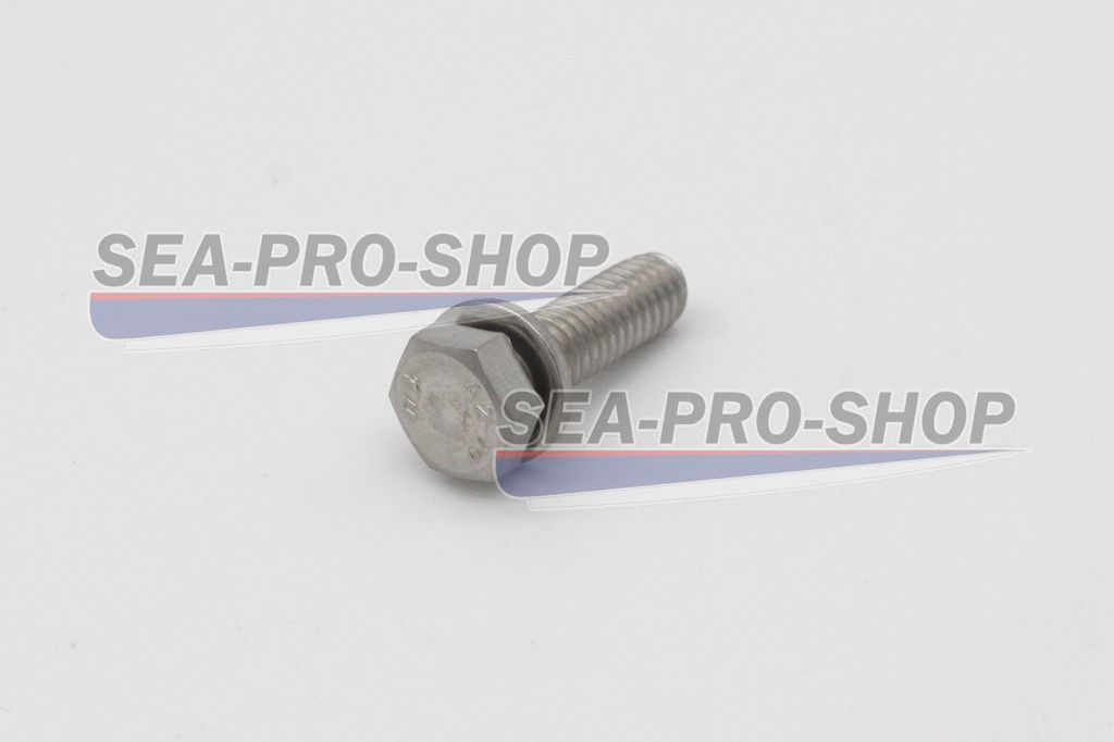 Болт с шайбой M6*20 T15