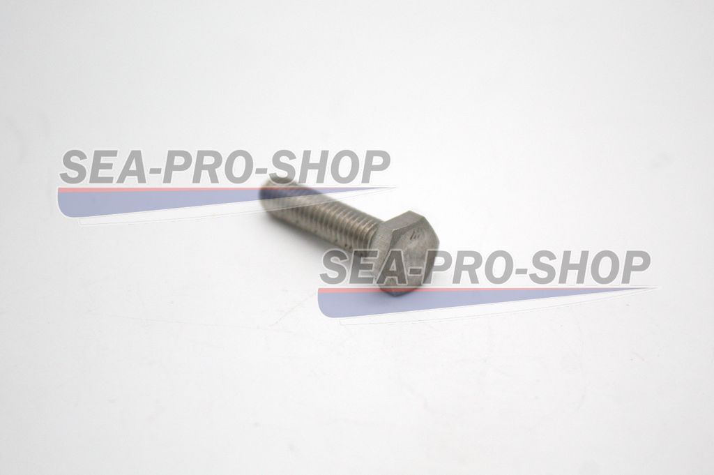 Болт М6*25 T9.9 PRO