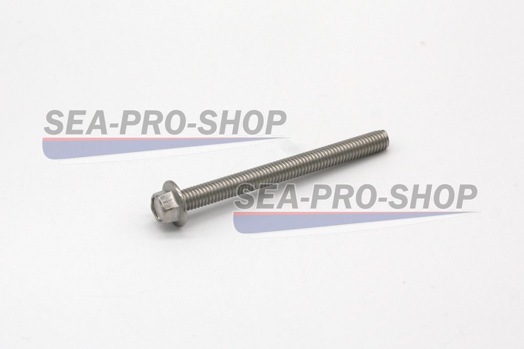Болт с шайбой M6*12 T30