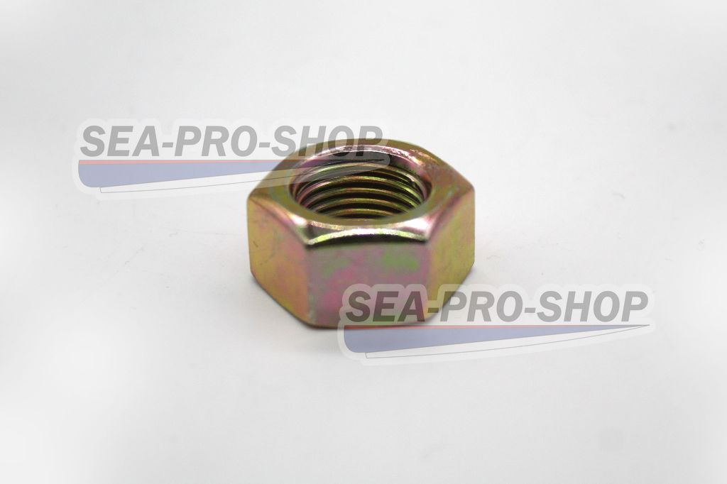 Гайка маховика M16×1.5-S24 12.7-Zn.D T9.9 PRO