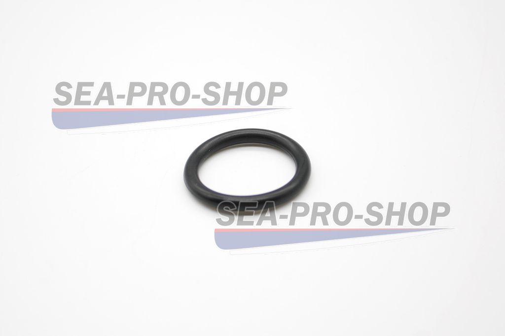 Кольцо уплотнительное 22×3.5 T9.9 PRO