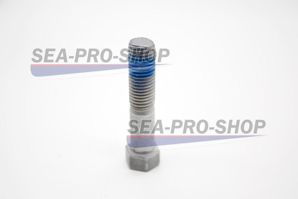 Болт M10×1.25×45 S=13 T9.9 PRO