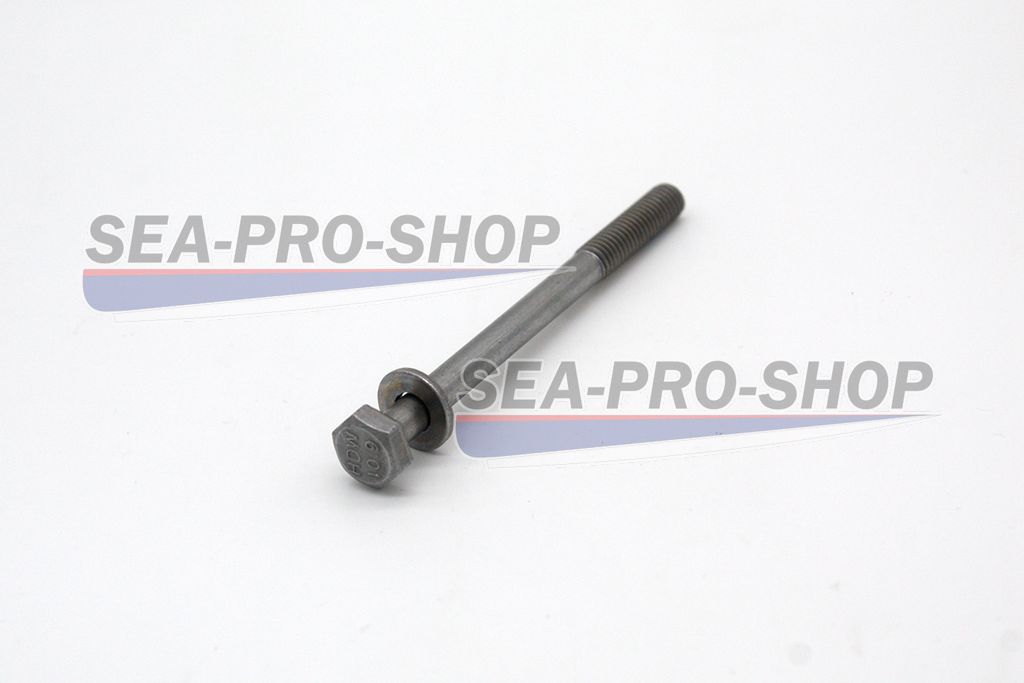 Болт М6*75 T9.8 NEW