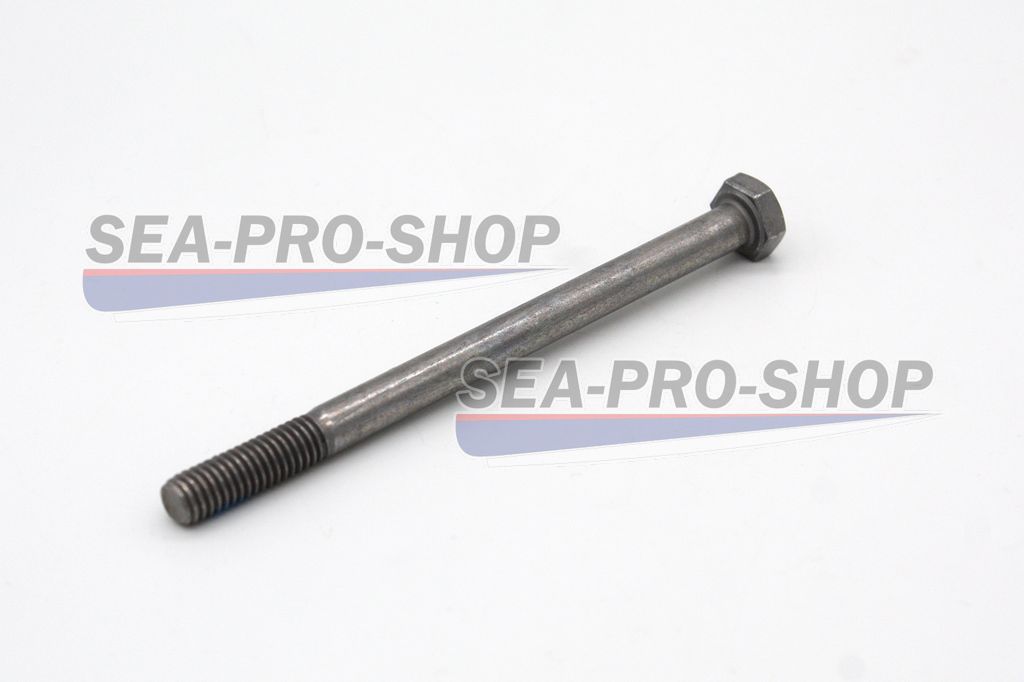 Болт М6*85 T9.8 NEW