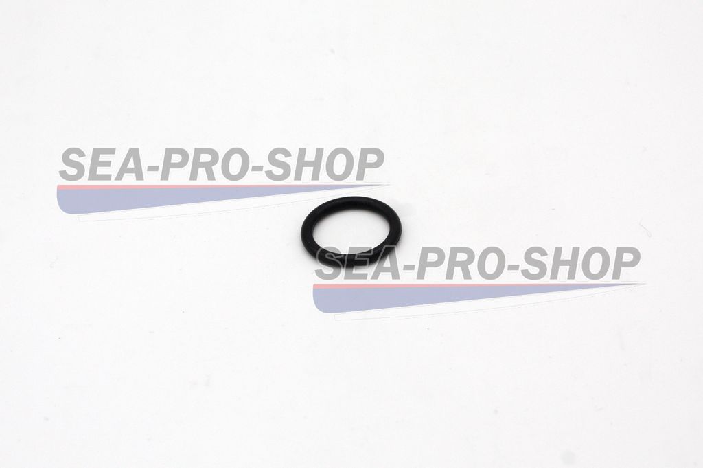 Кольцо уплотнительное Φ15.6*Φ2.56 T9.8 NEW